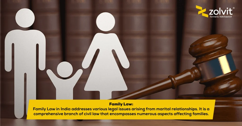 What Is Family Law? Common Issues & Legal Representation
