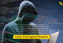 cyber crime against property